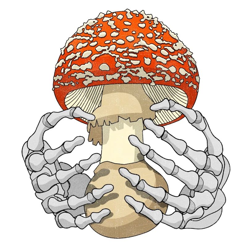 Pilz