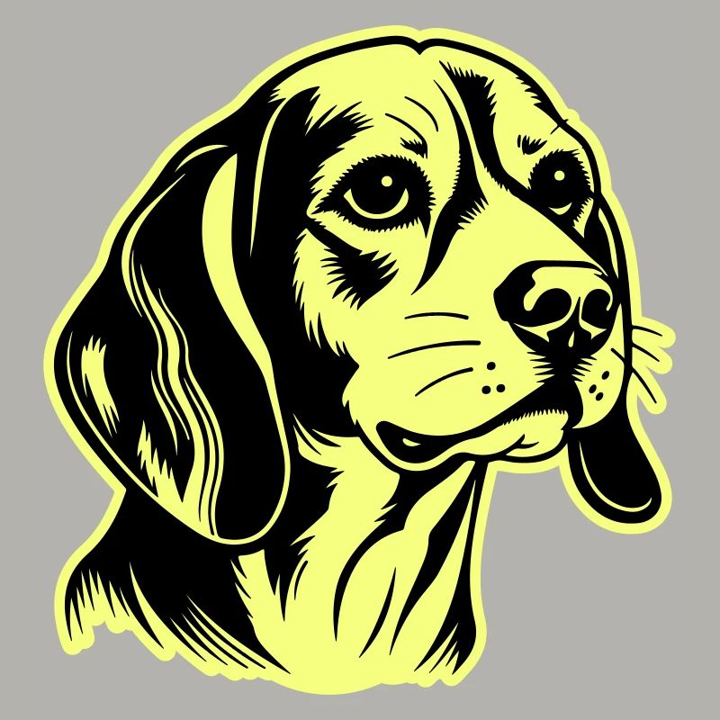 Beagle Hund Kopf
