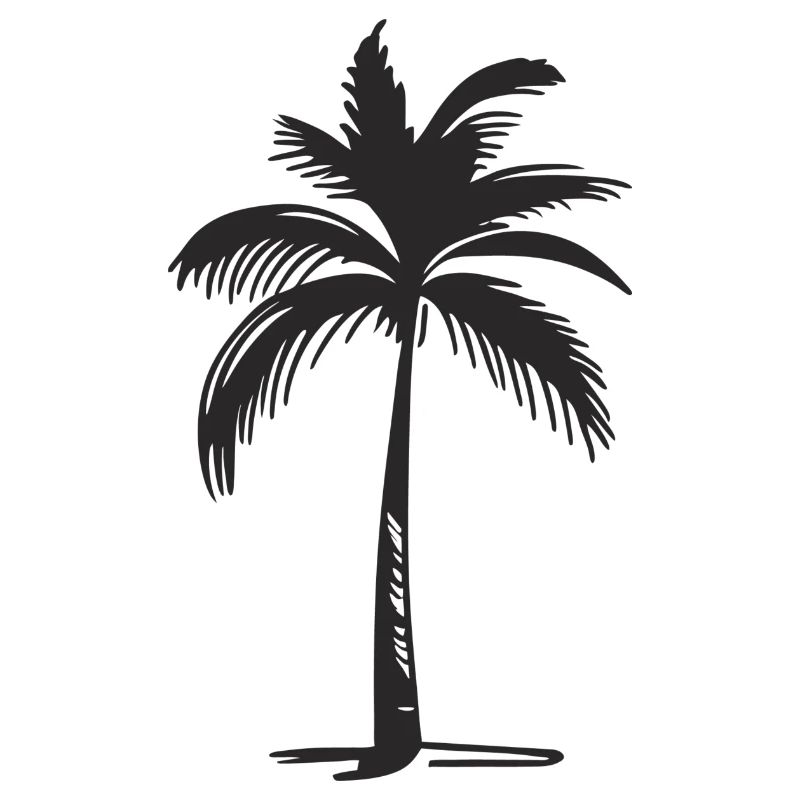 Palme