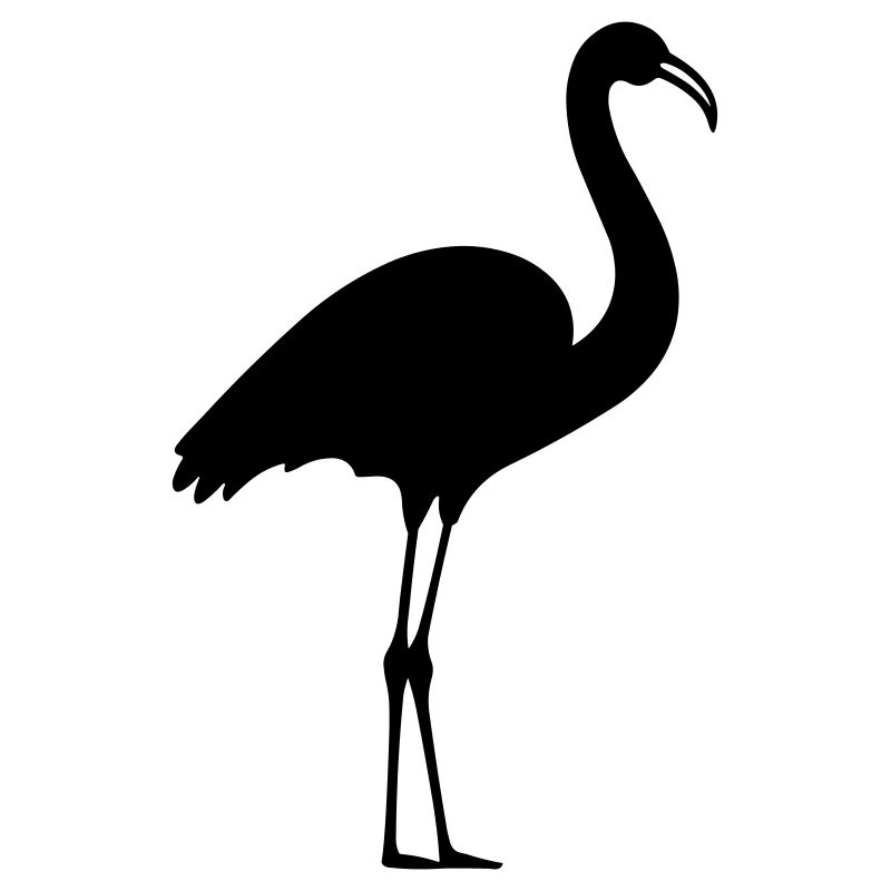 Flamant rose