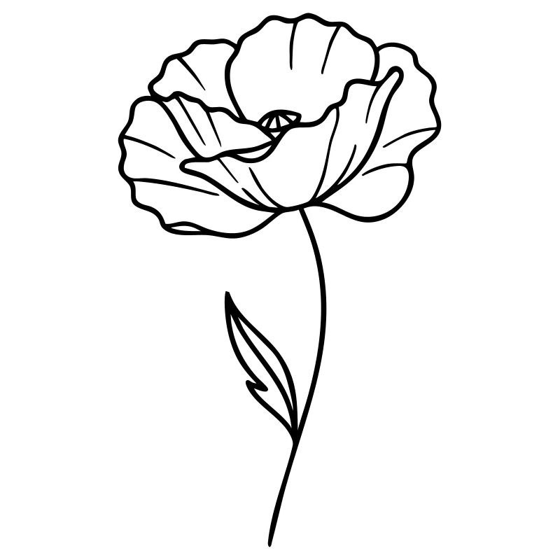 Coquelicot – Graphique linéaire, contours de fleurs