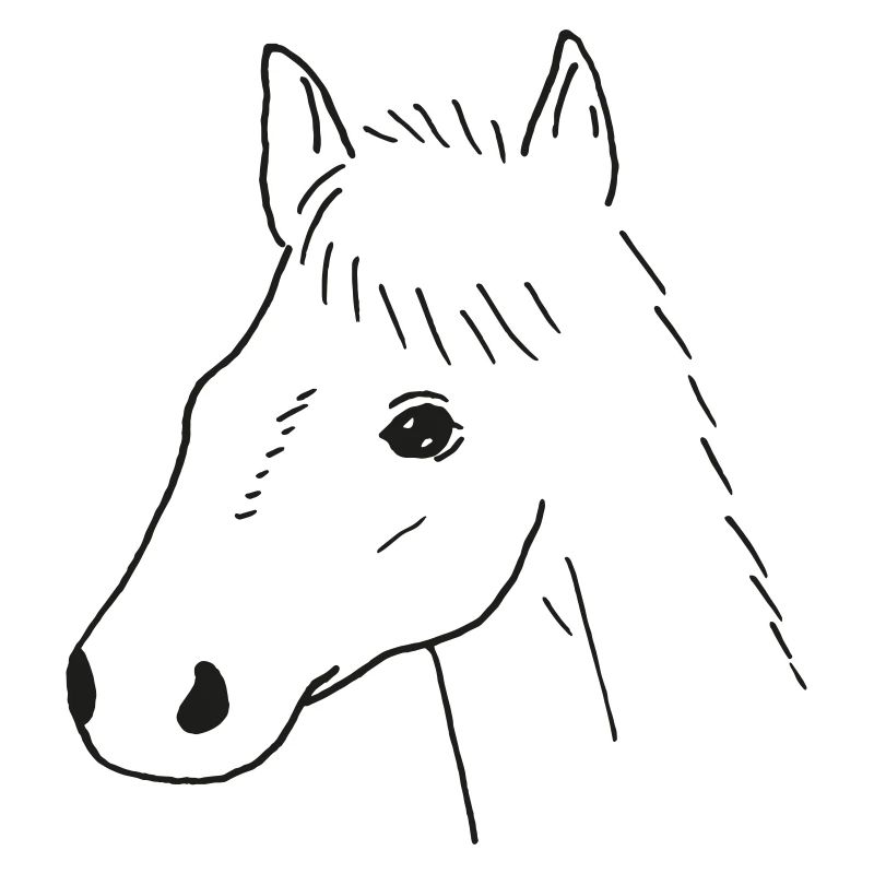 Dessin de cheval
