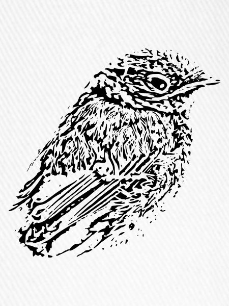 Vogel