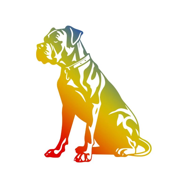 Boxer Dog