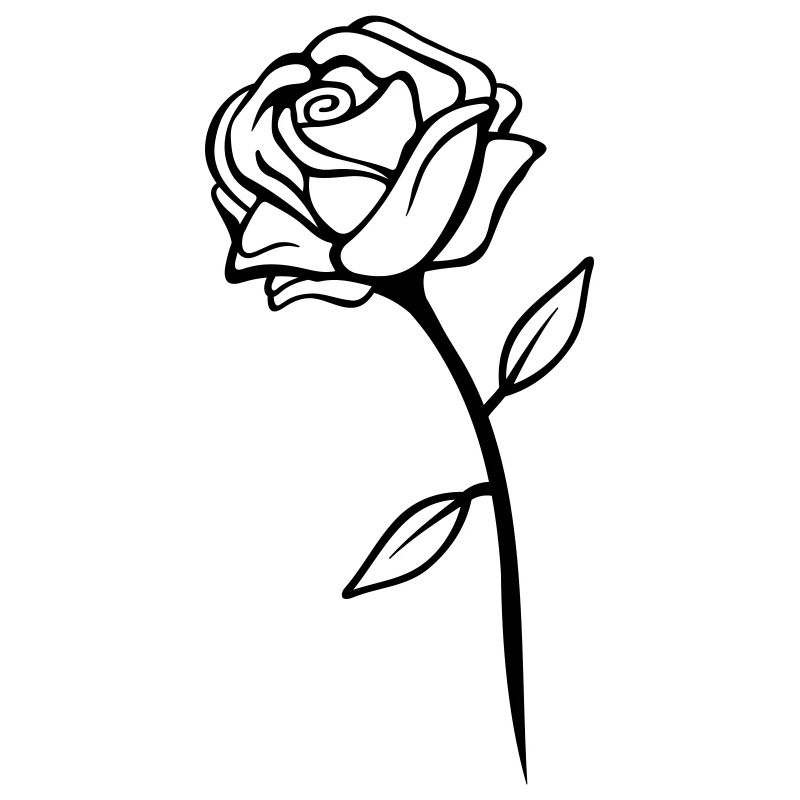 Conception de rose