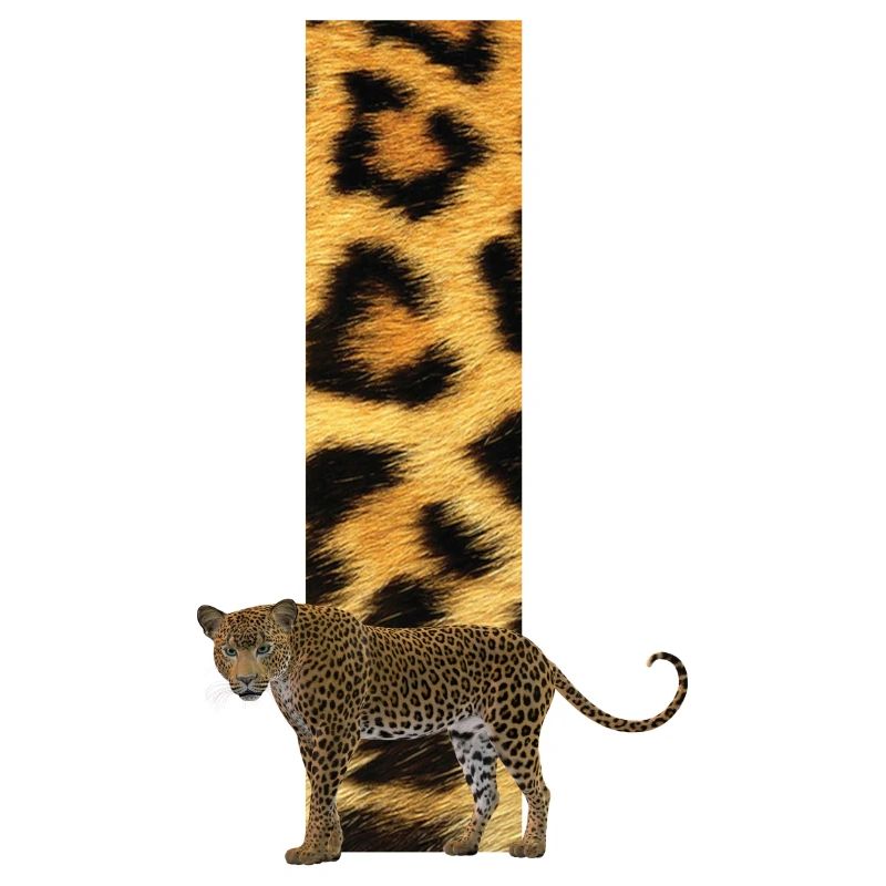 leopard i