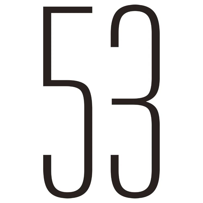 53