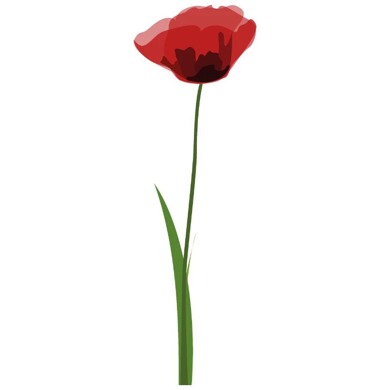 Mohn