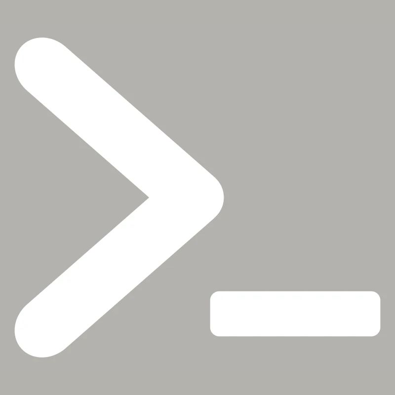 >_ OS program prompt