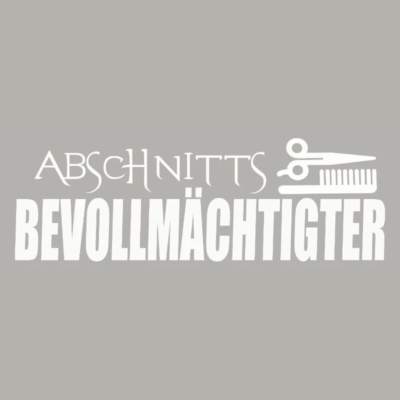ABSCHNITTSBEVOLLMÄCHTIGTER