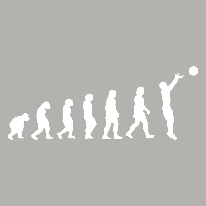 Basket évolution