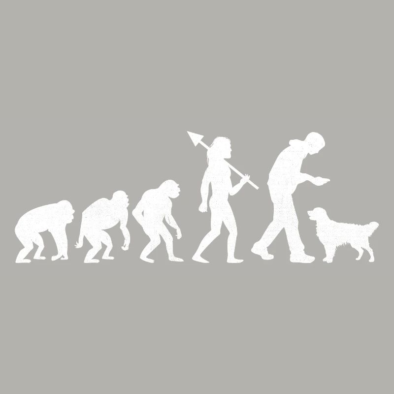 Evolution Golden Retriever GR Dog Retrievers