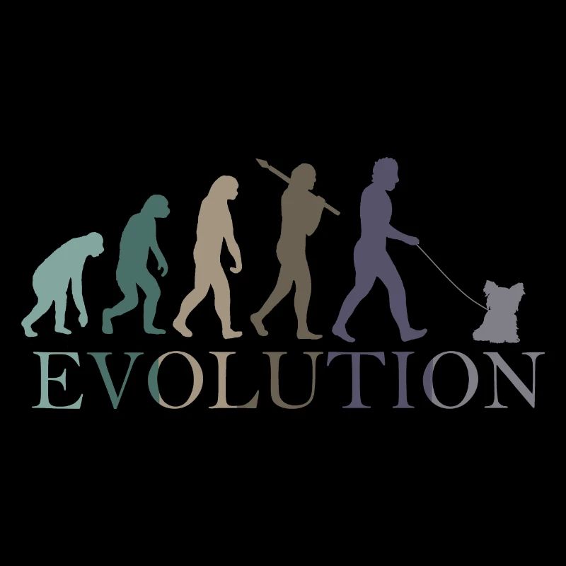 Yorkshire terrier EVOLUTION