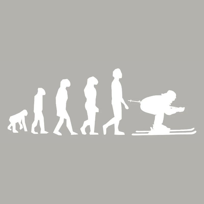 Evolution Ski / Développement