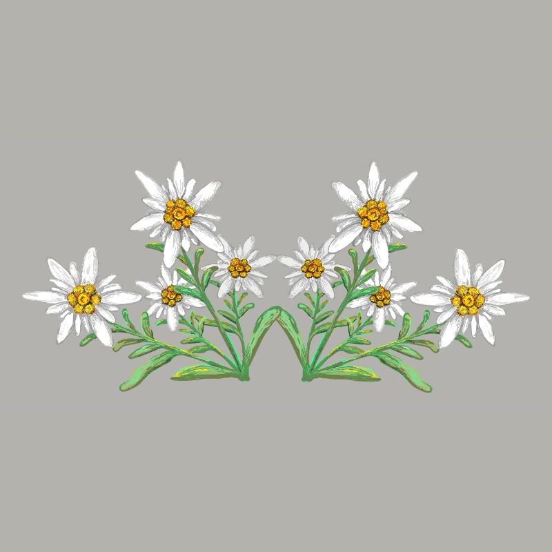 Edelweiss
