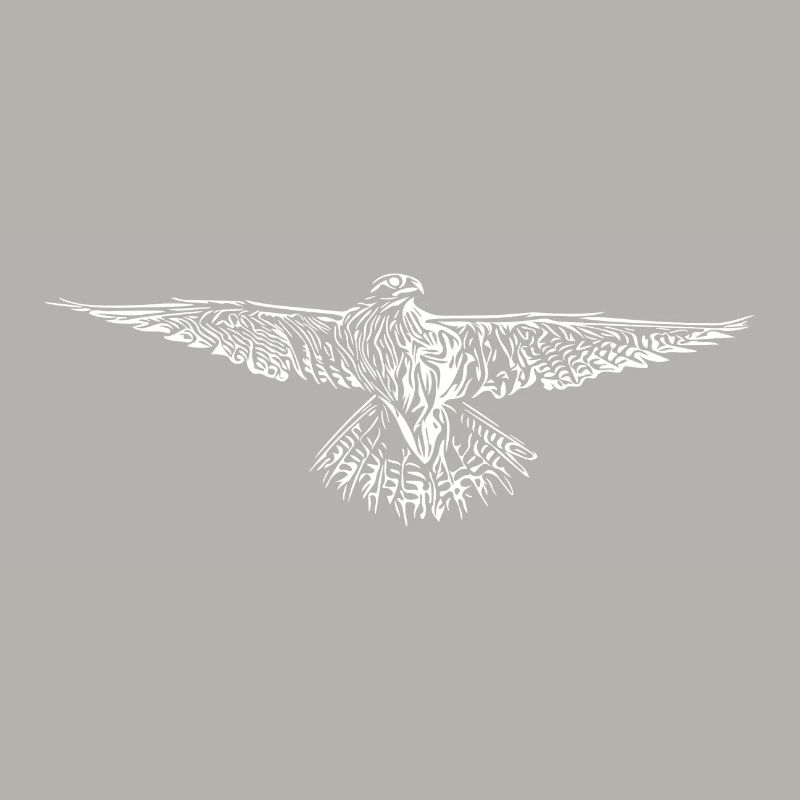 Hawk in flight