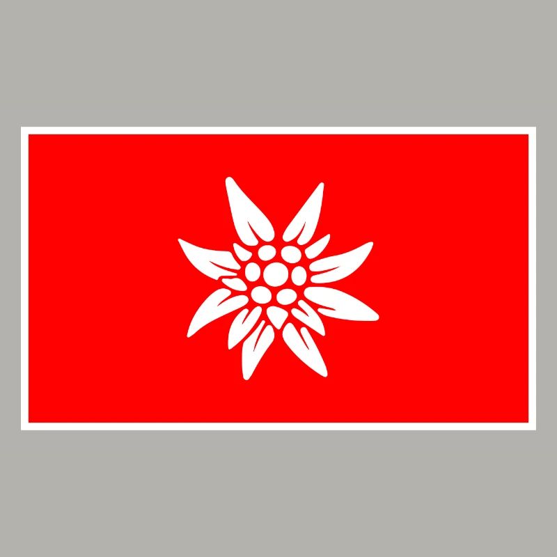 Schweizer Flagge