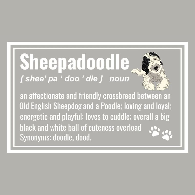 Sheepadoodle Doodle Dog