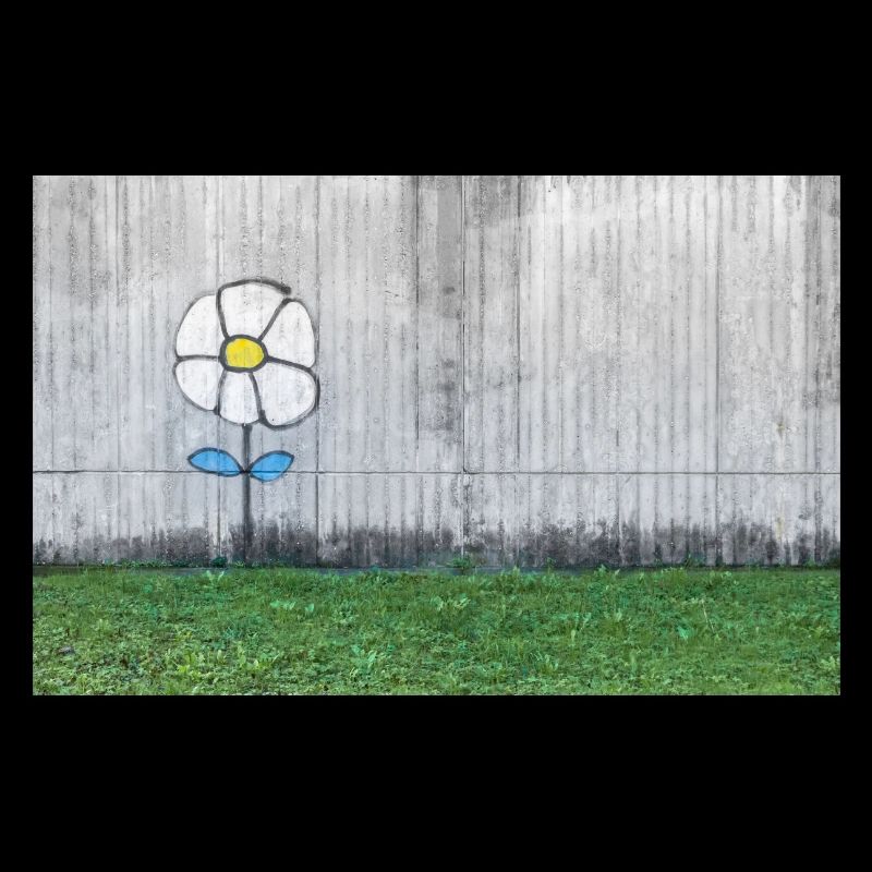 Graffiti eines Gänseblümchens