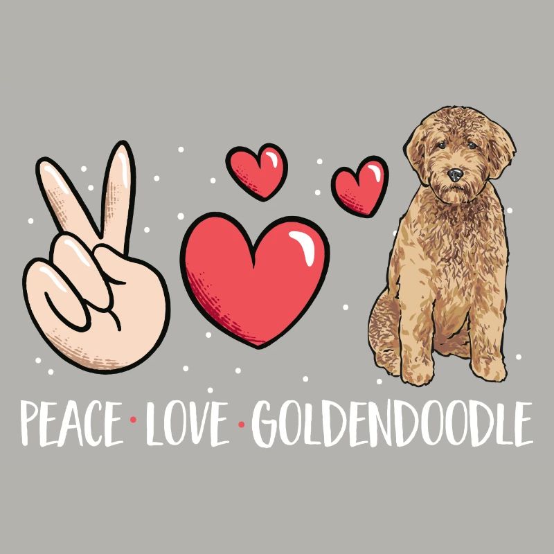 Goldendoodle Doodle Chien