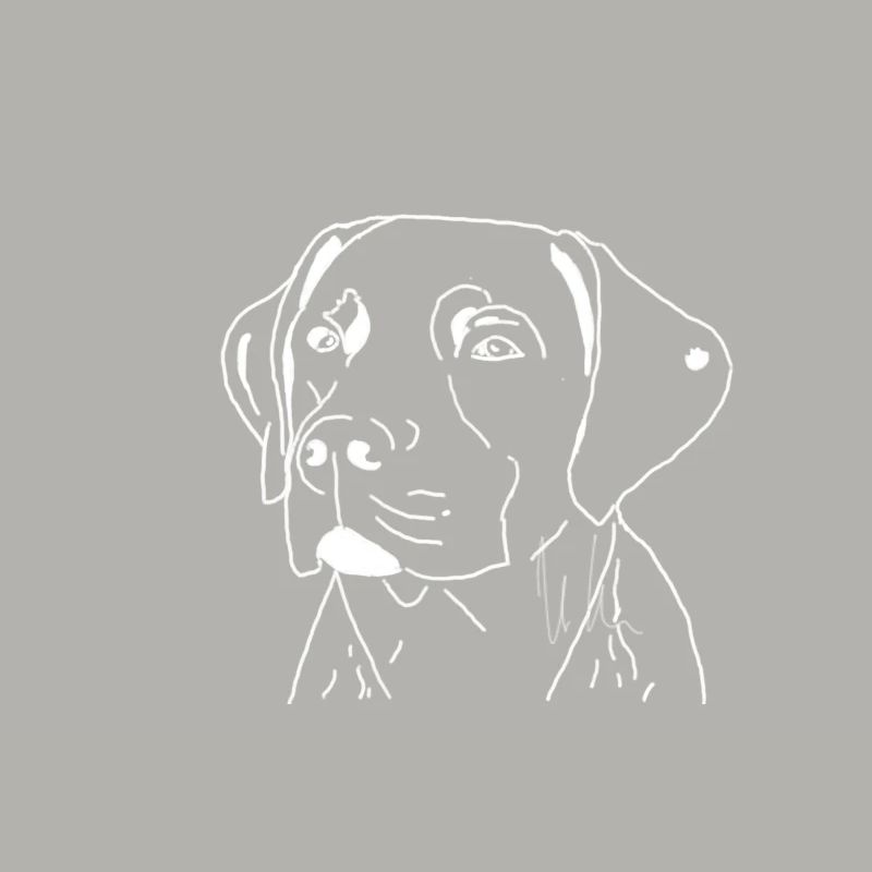 Labrador