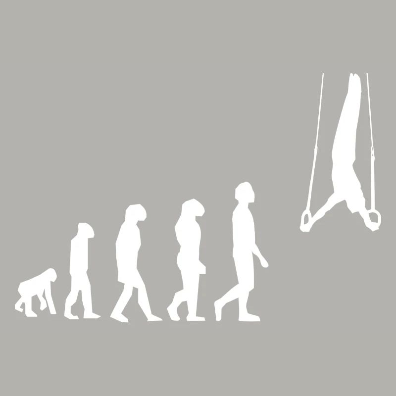 Evolution Gymnastikringe