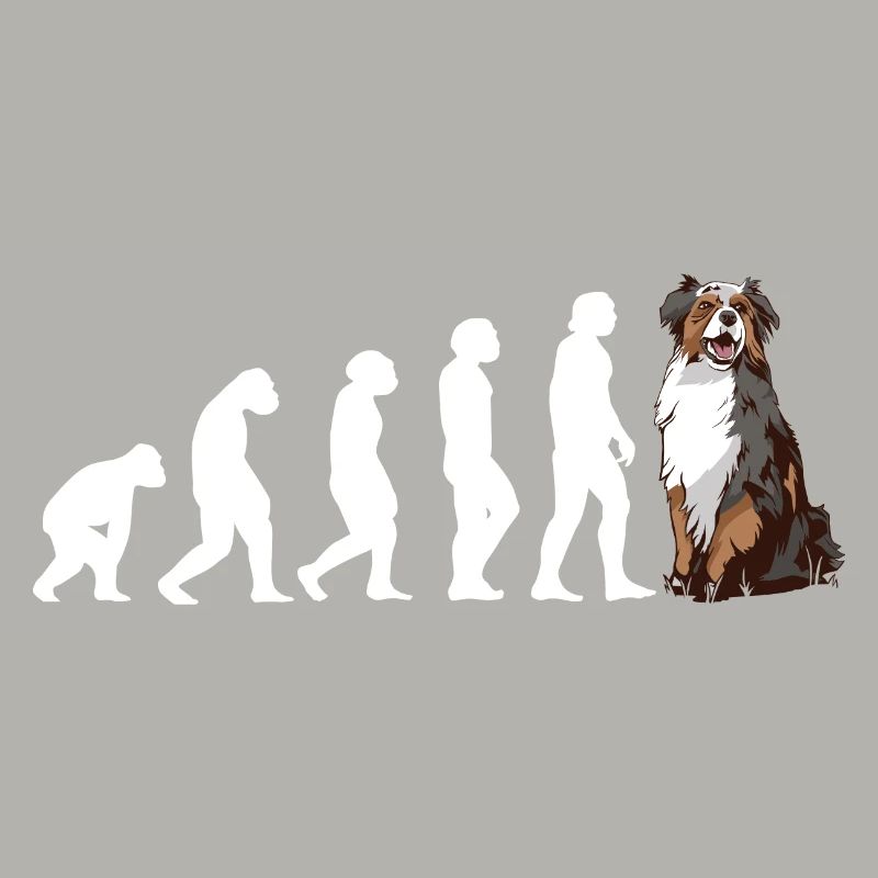 Dog Evolution Aussie
