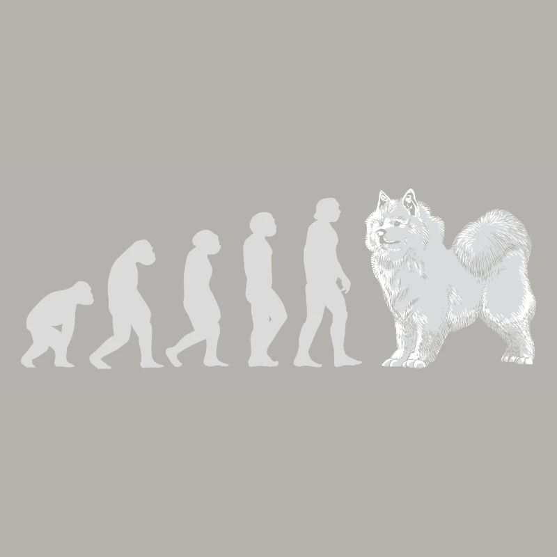Evolution Samoyed