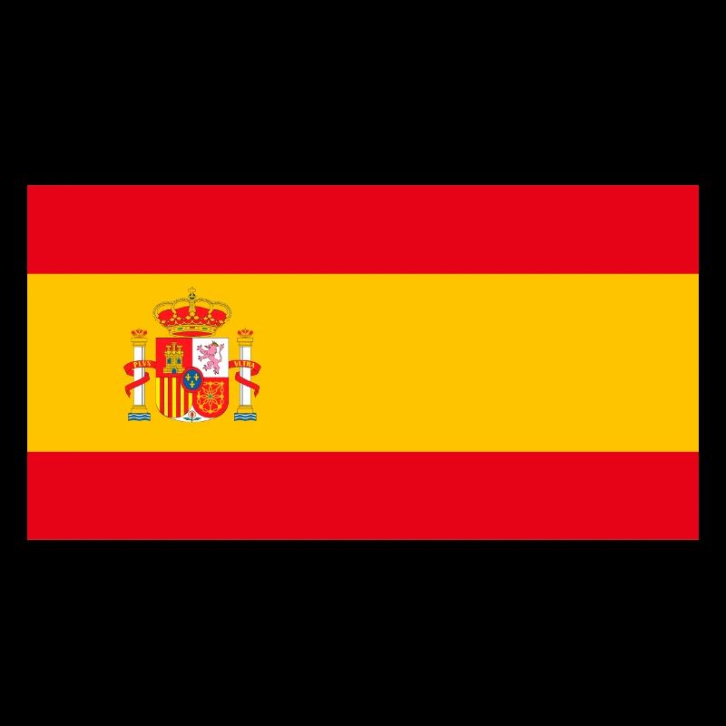 Drapeau Espagne 100% espagnol