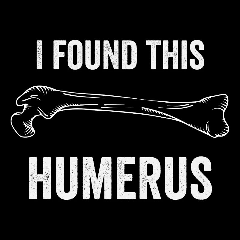 I found this humerus