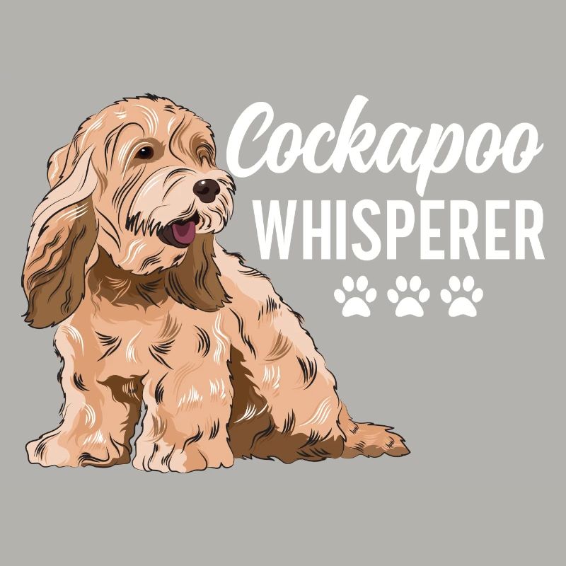 Cockapoo Hund