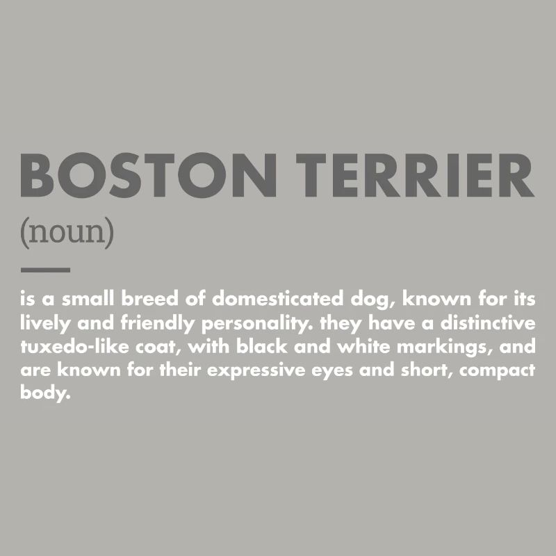 Définition du terrier de Boston