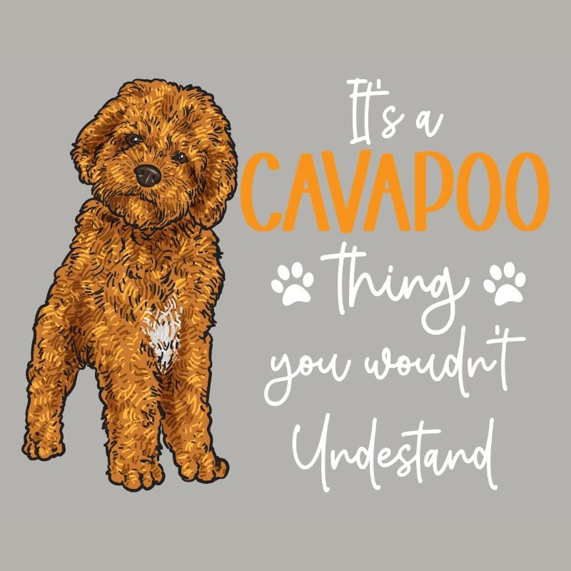 Cavapoo Cavoodle Capoodle Hund