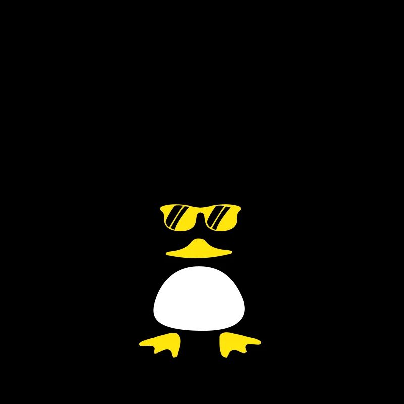 Beach Duck