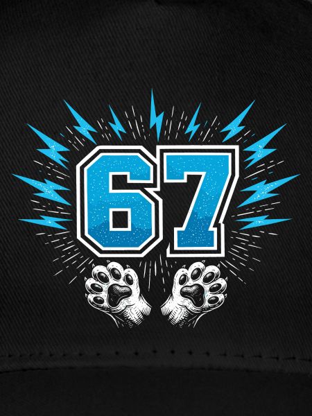 67 Six Seven - Katzenpfote