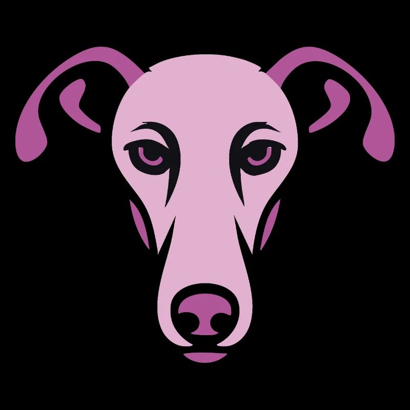 Lévrier, Galgo