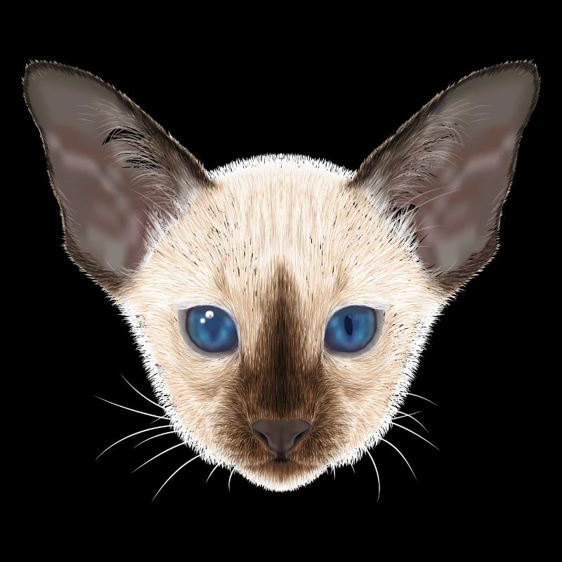 Siamkatze 