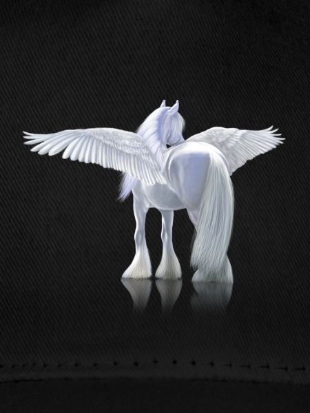 Pegasus