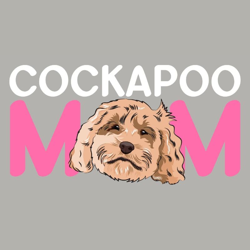 Cockapoo Chien