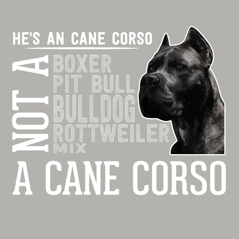 Cane Corso