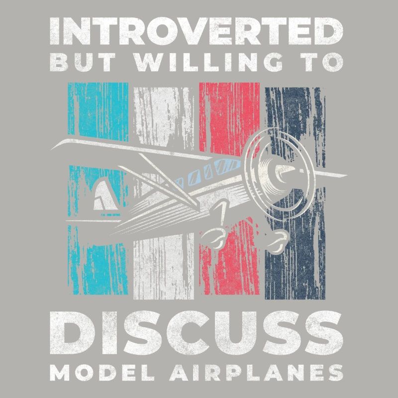 Model Airplane Model Flying Machine Flight