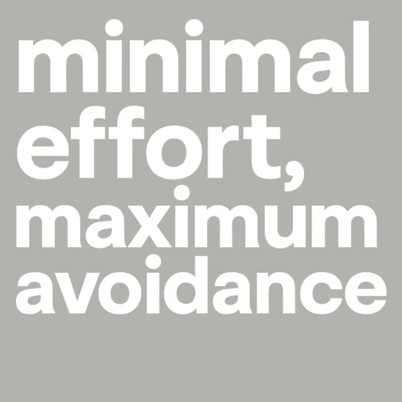 minimal effort maximum avoidance | Ironie, Minimal