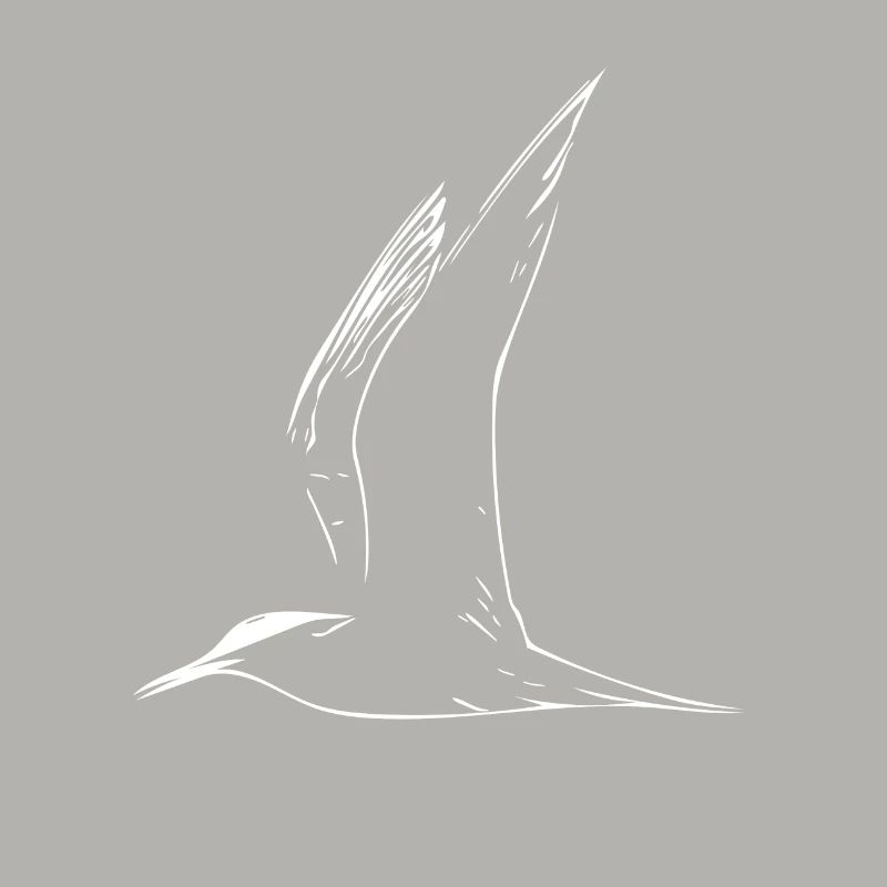 Möwe