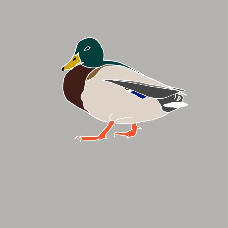 Canard