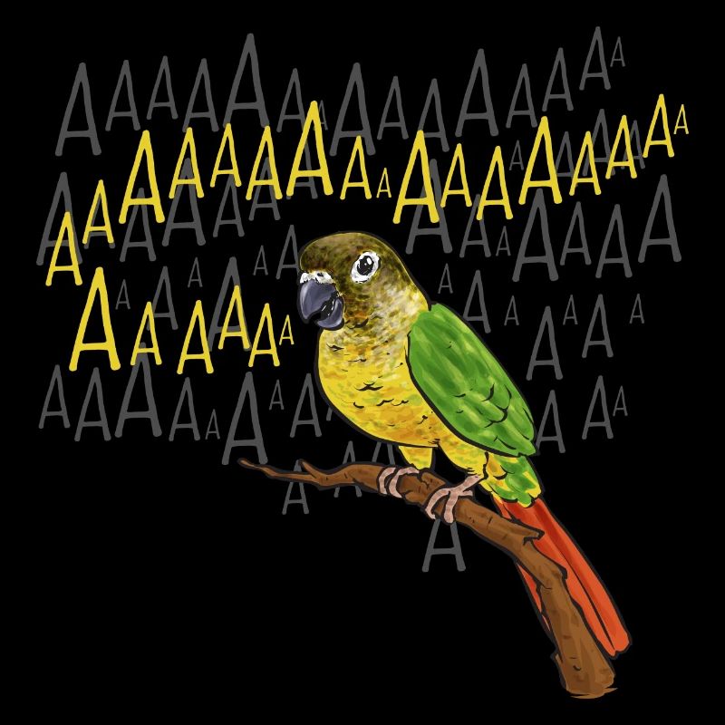 Molina Parakeet Parrot Bird Parakeet