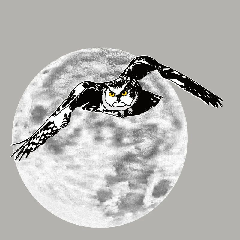 Eule vor Mond