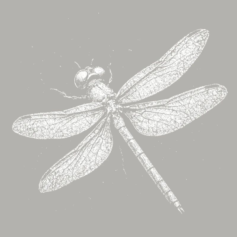 Libelle