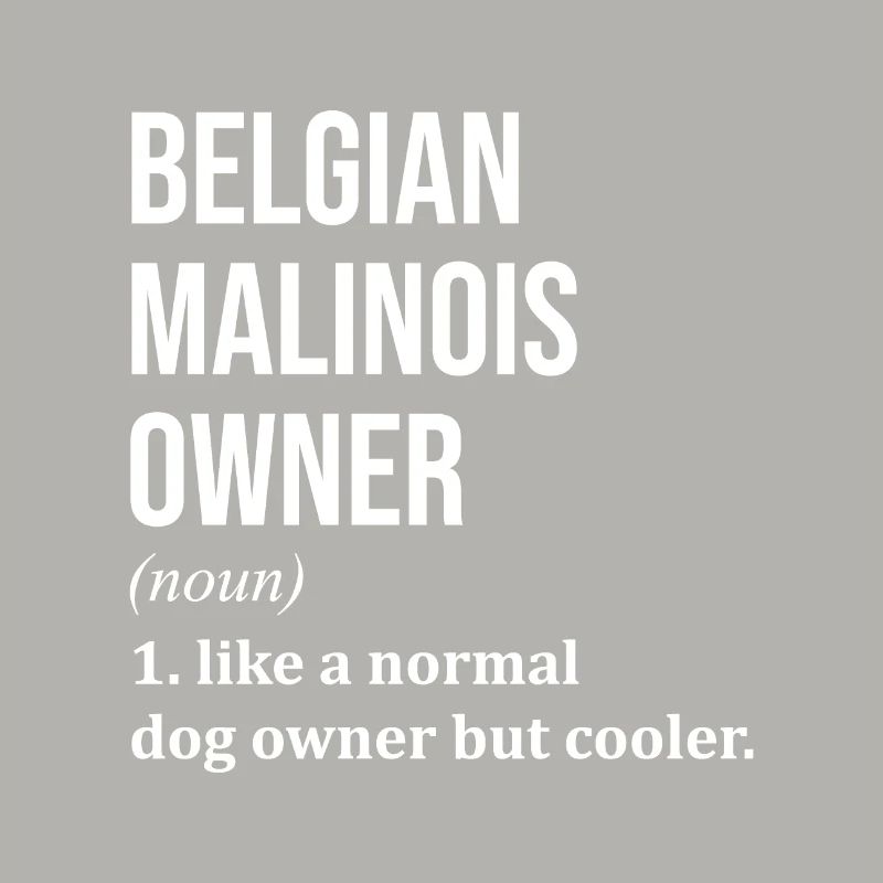 Malinois belge