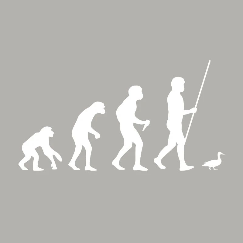 Évolution du canard