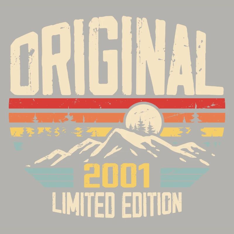 Nostalgic 2001 Birthday Gift 2001